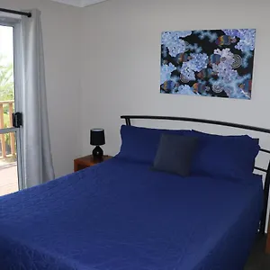  Auberge de jeunesse Pippies Beachhouse Backpackers